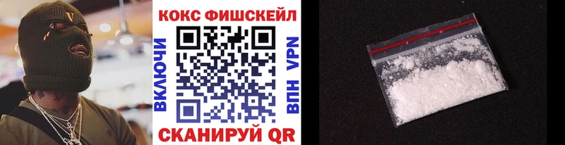 Cocaine Fish Scale  купить наркоту  Инза 
